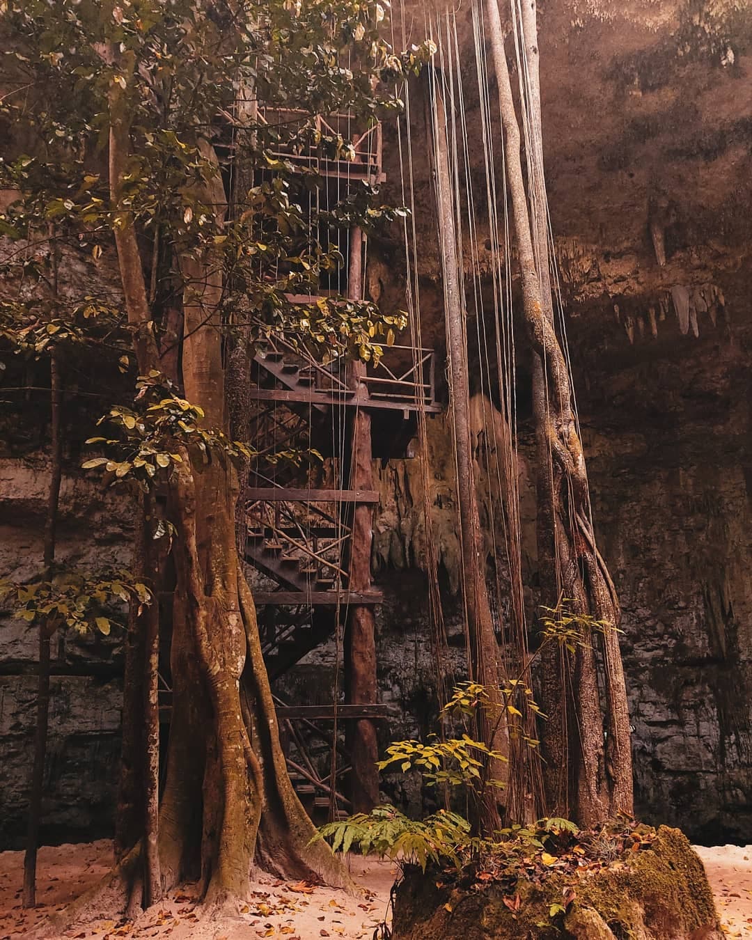 Wooden stairs descending toward the central island inside Cenote Sac Aua