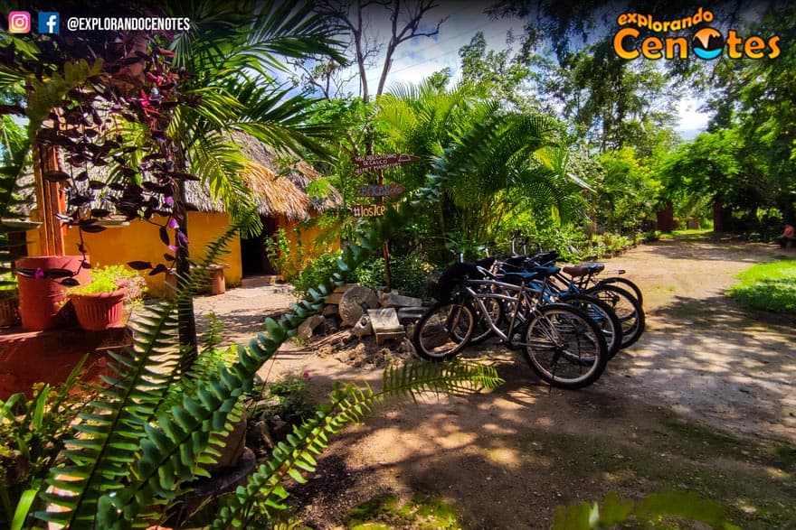Cycle through the jungle to remote cenotes