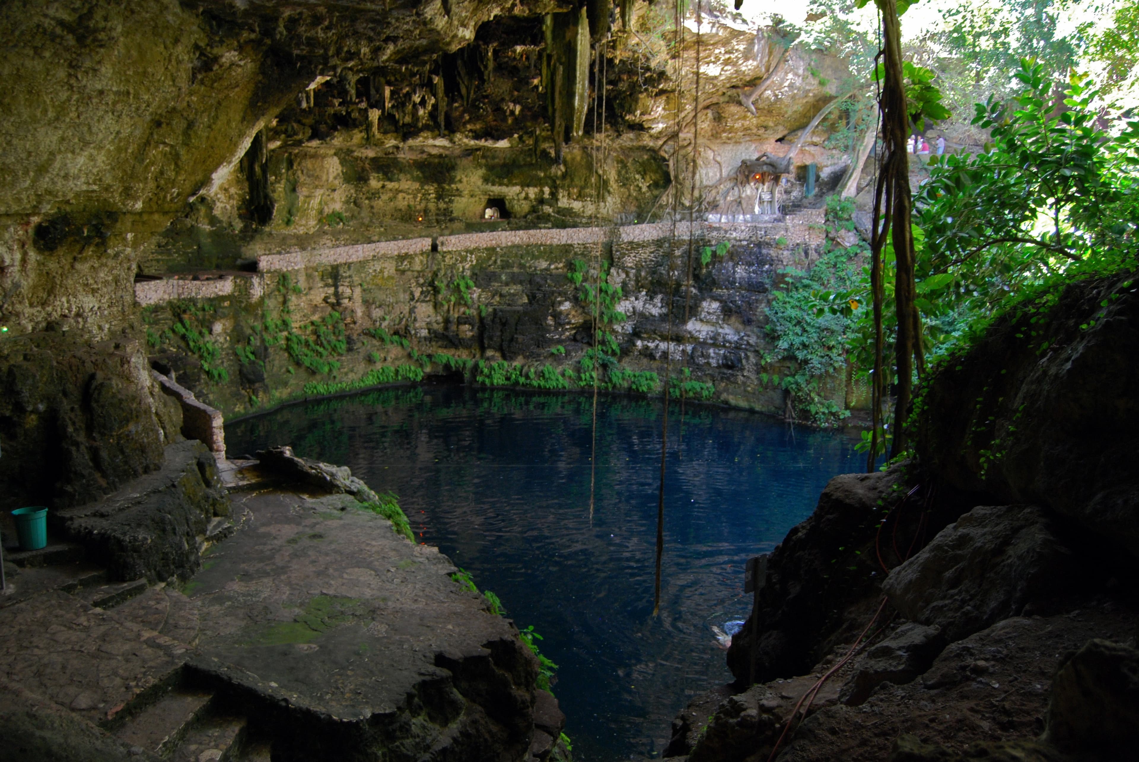 Cenote Zaci beneath limestone walls and hanging vegetation