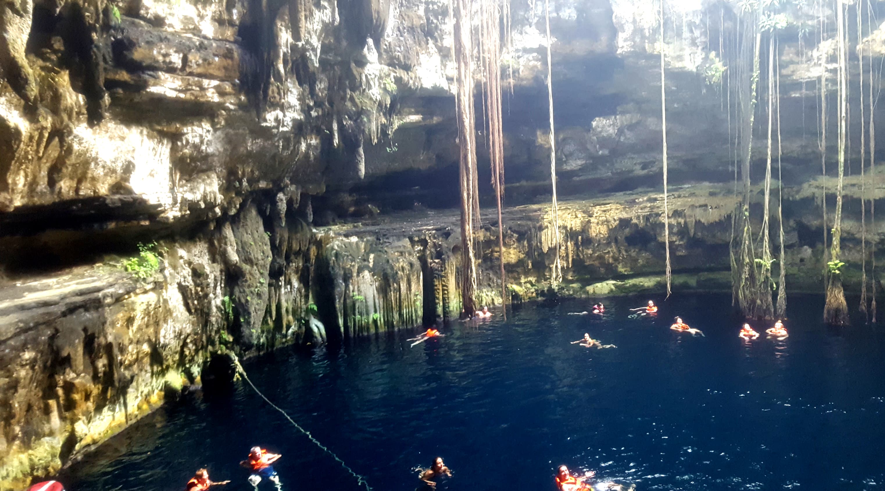 Swimmers beneath hanging roots in Cenote Oxman near Valladolid