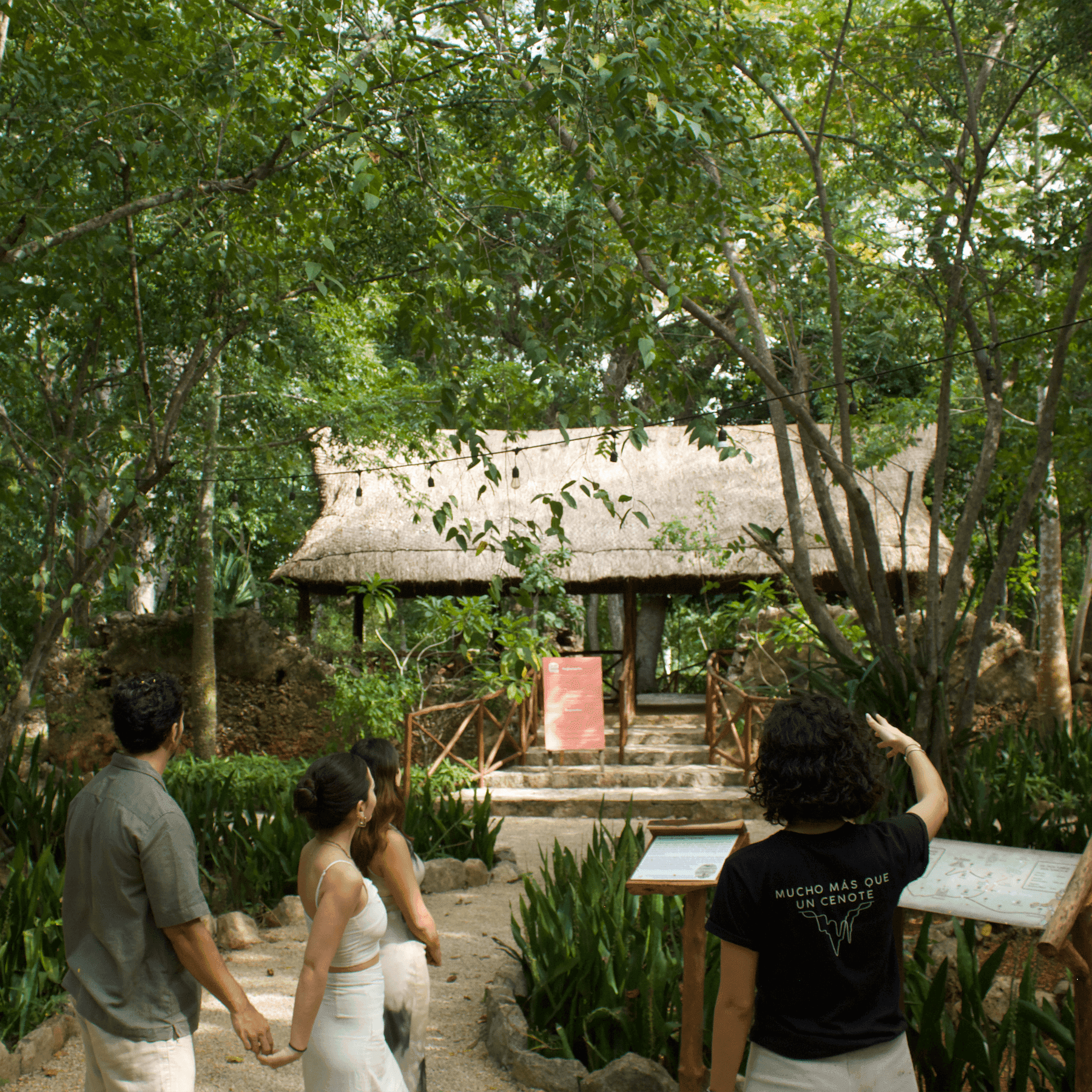 Cenote Zazil Tunich Guide: Tours, Prices and Swimming Near Valladolid