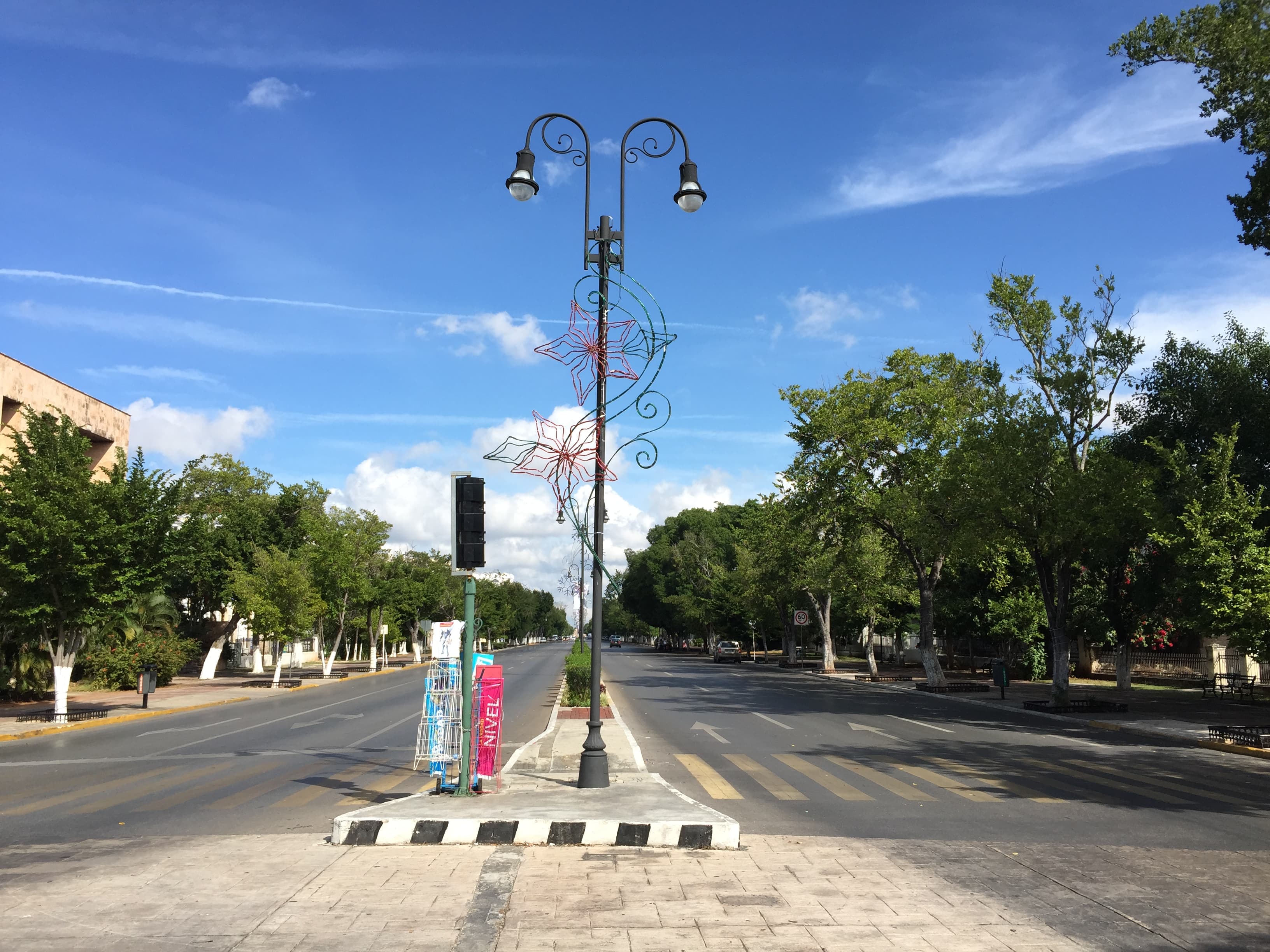 Historic mansions and palms along Paseo de Montejo in Merida