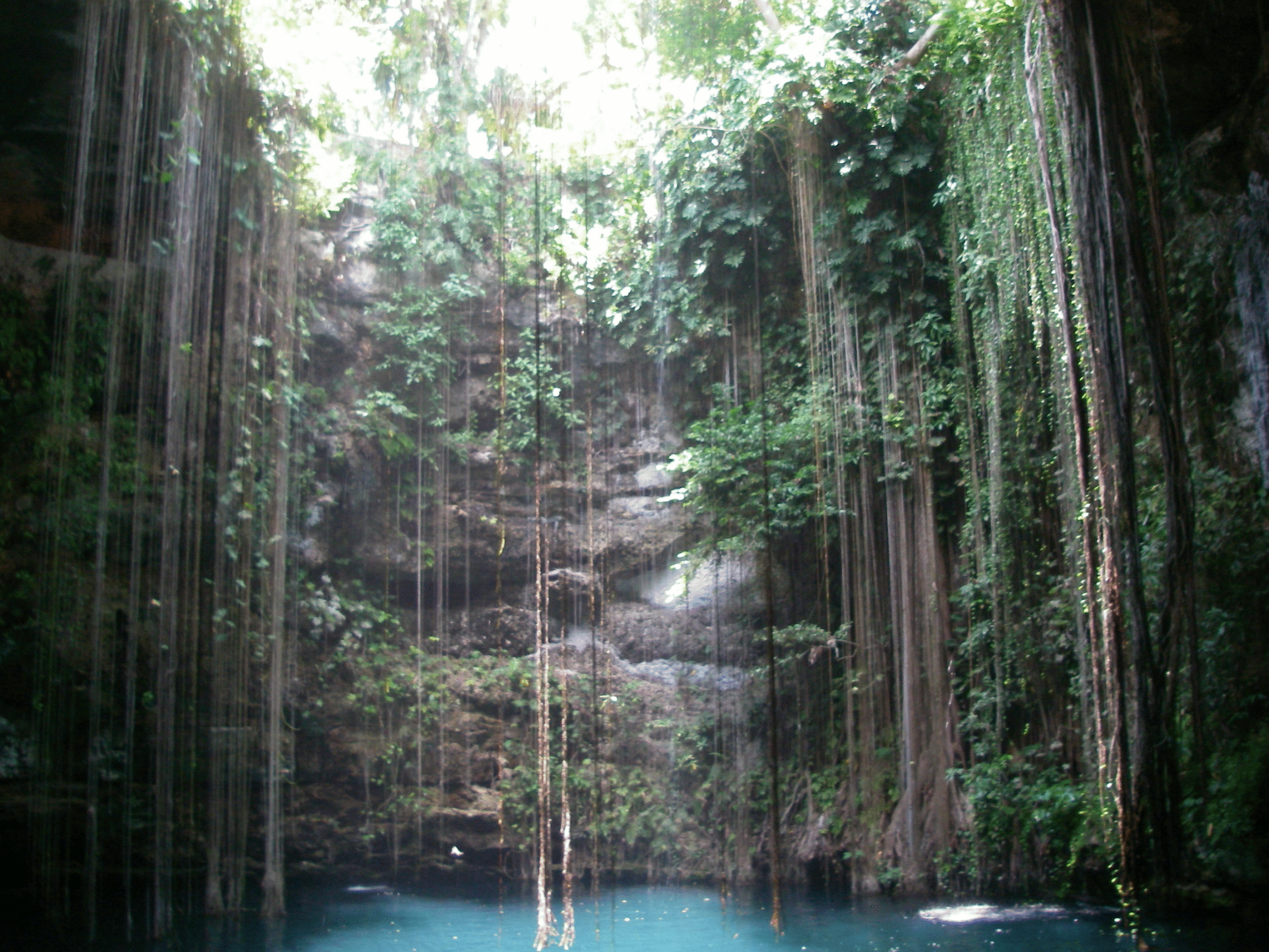 Cenote Ik Kil – Sacred Swimming in Chichén Itzá