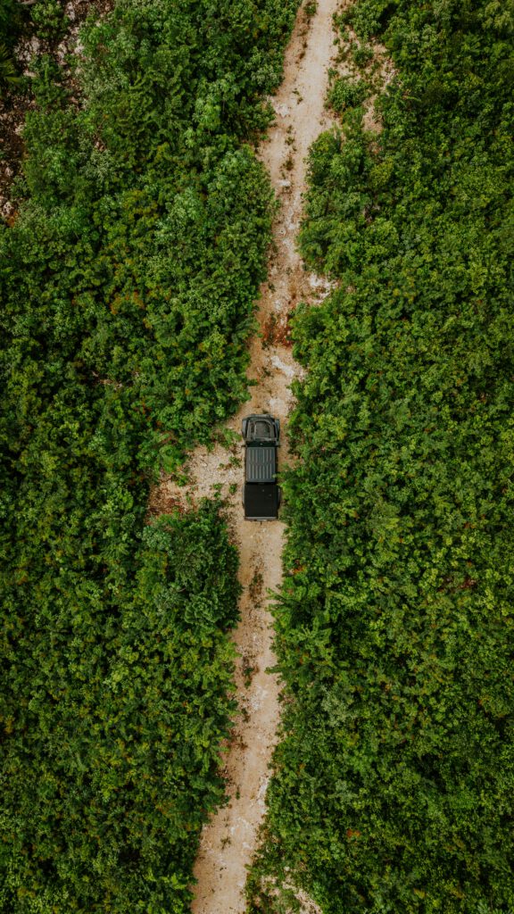 The Best Yucatán Road Trip Ideas: 4 Incredible Day Routes from Mérida