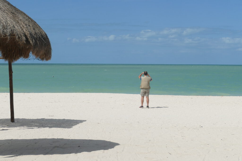 Celestún Beach: Complete Visiting Guide